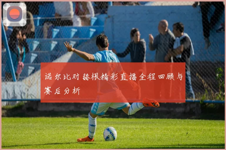 诺尔比对赫根精彩直播全程回顾与赛后分析